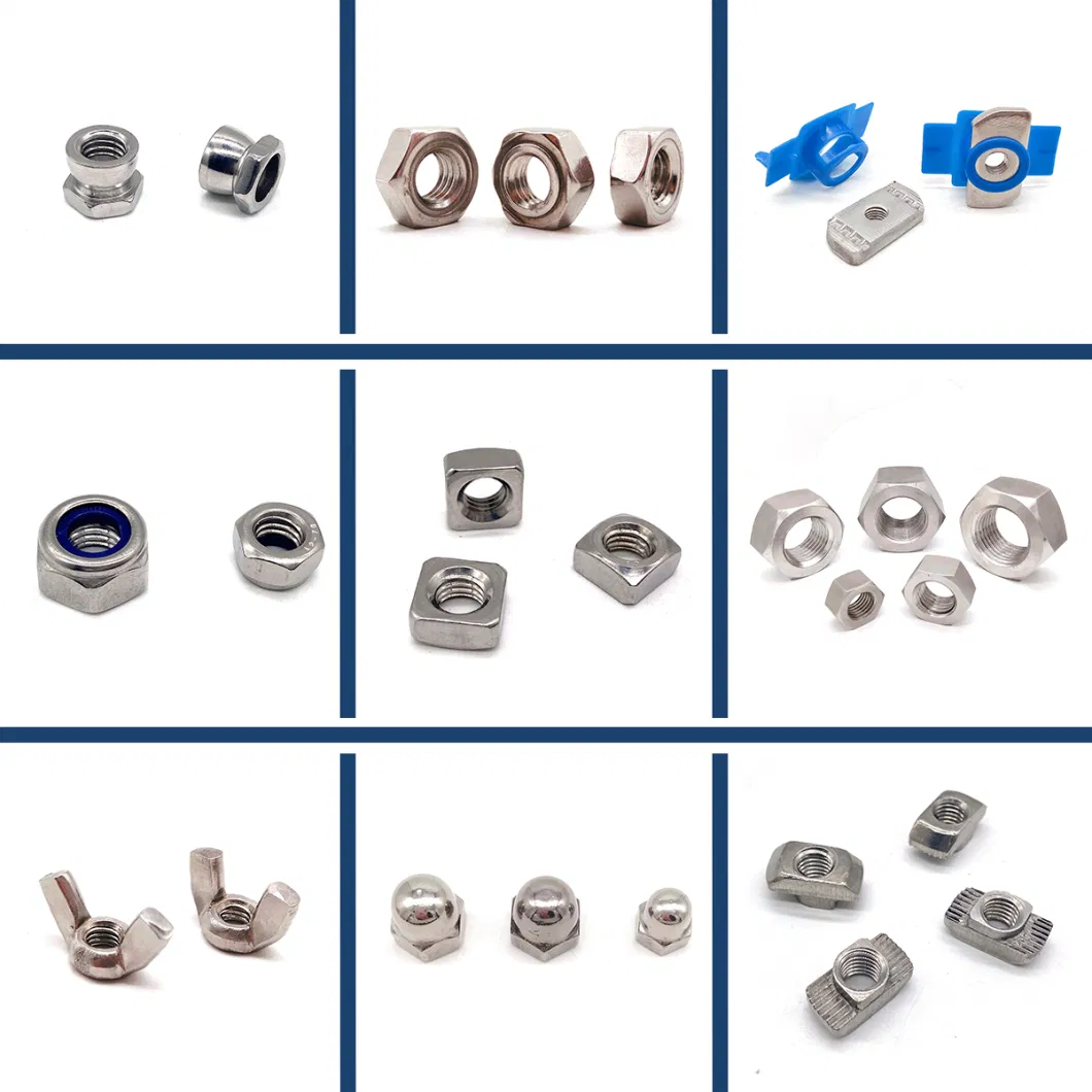 Manufacturer M8 M10 Stainless Steel Dome Wheel Nut Flange Nuts Rivet Nuts Hexagon Nut Spring Nut Lock Nut Bolts and Nuts Hexagon Hex Bolt and Nut Bolts and Nuts