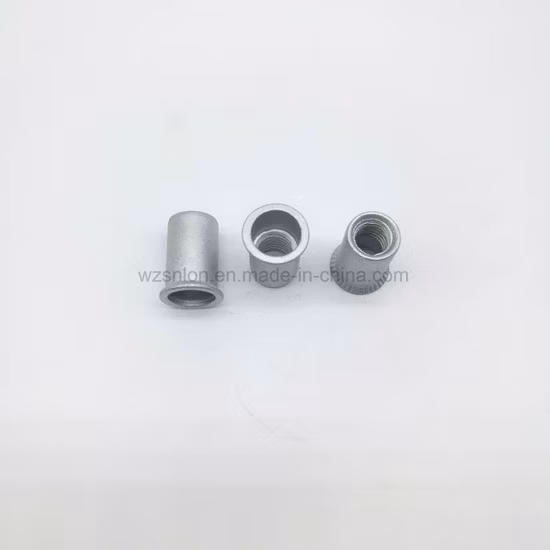 Dado per rivetti con corpo tondo a testa piatta disponibile con uno sconto del 50%.